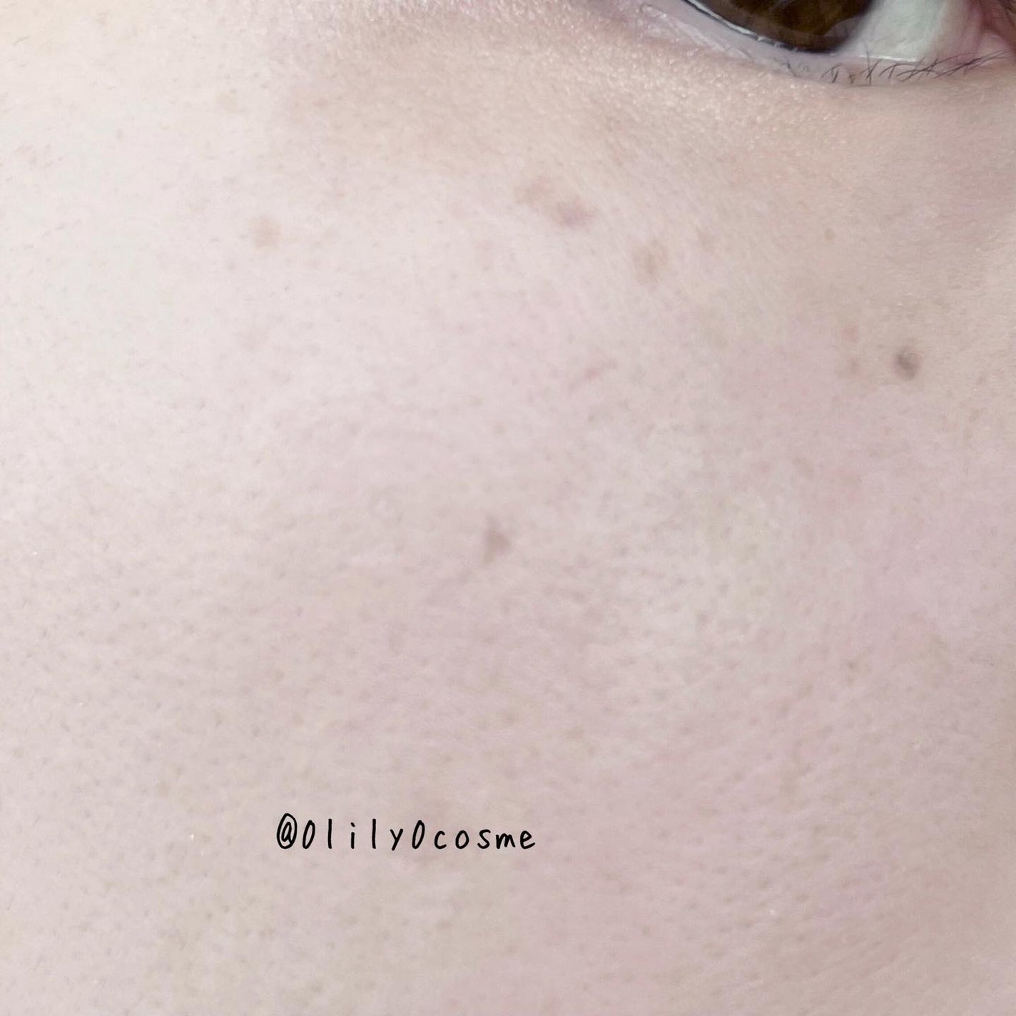 (ルシャブートコレクション)チーク&アイ マルチユーズ パレット/Dinto/パウダーチークを使ったクチコミ(5枚目)