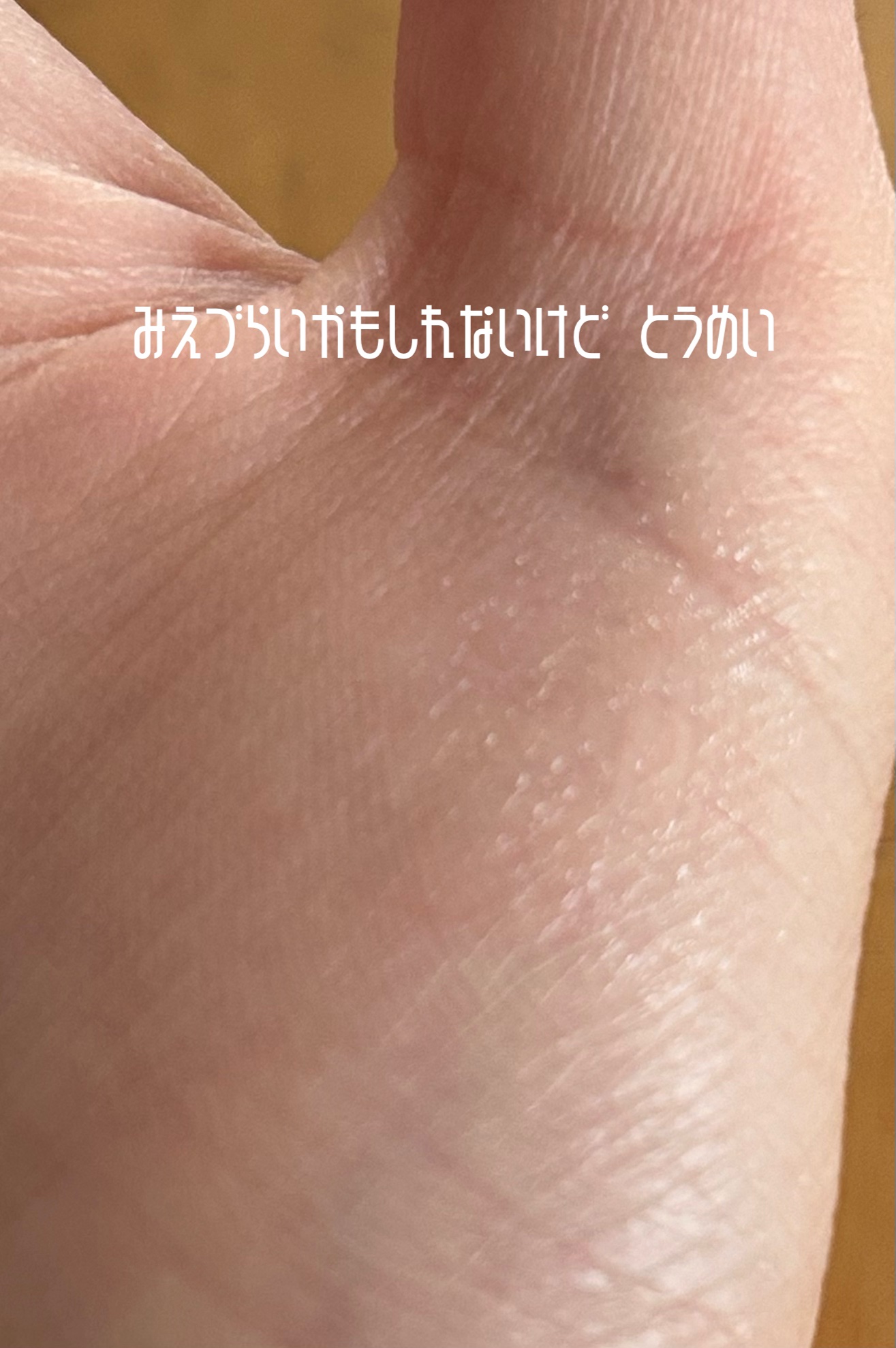 ピメル うそつき下地/pdc/マスカラ下地を使ったクチコミ（3枚目）