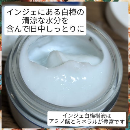 白樺水分クリーム/ROUND LAB/フェイスクリームを使ったクチコミ(2枚目)