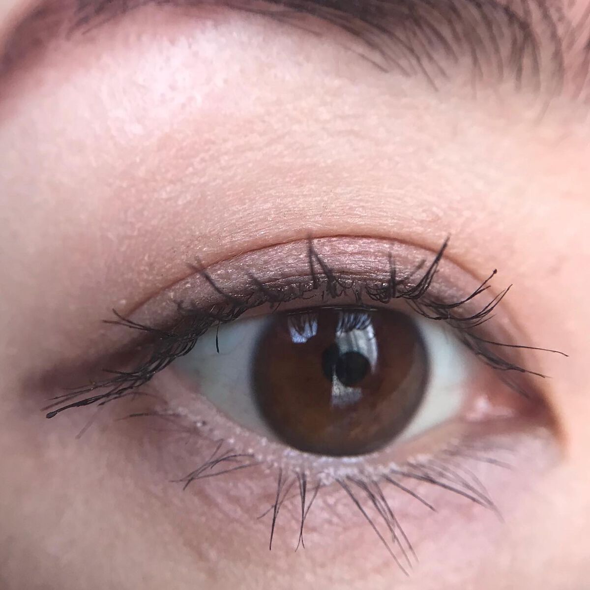 レ キャトル オンブル/CHANEL/アイシャドウパレットを使ったクチコミ(2枚目)