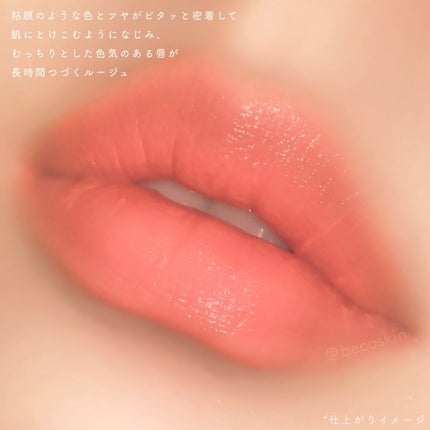 ネンマクフェイク ルージュ/Visée/口紅を使ったクチコミ(3枚目)