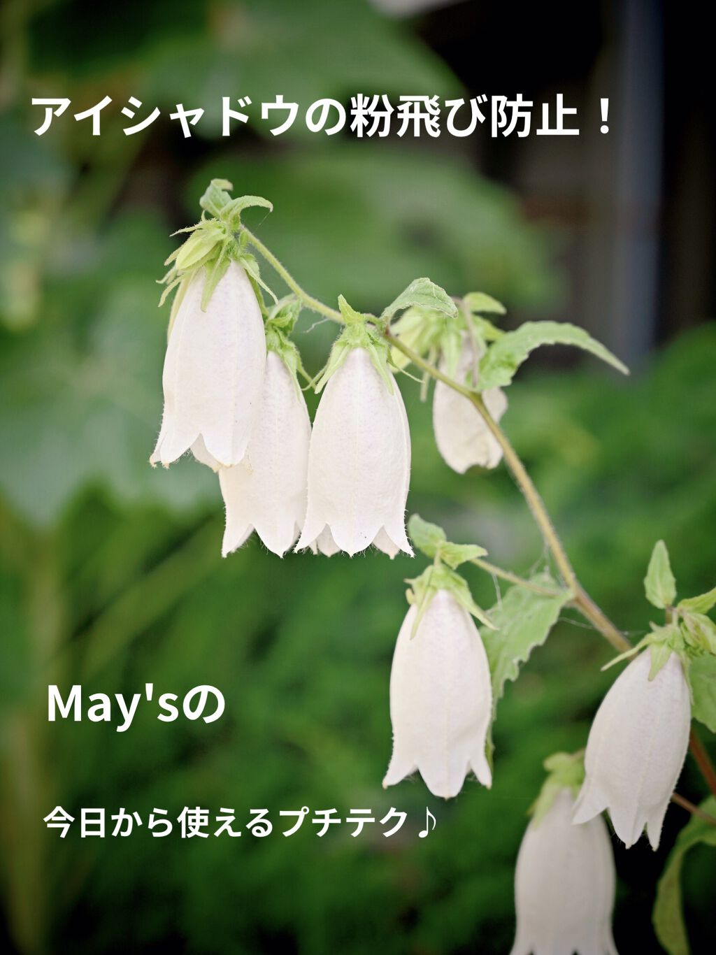 リシェ ダズリング デュオ アイズ/Visée/アイシャドウパレットを使ったクチコミ（1枚目）