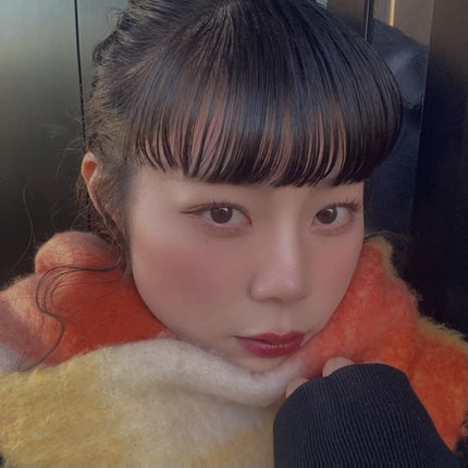 シングルブラッシャー OR03 パーシモンジュース/the SAEM/パウダーチークの画像