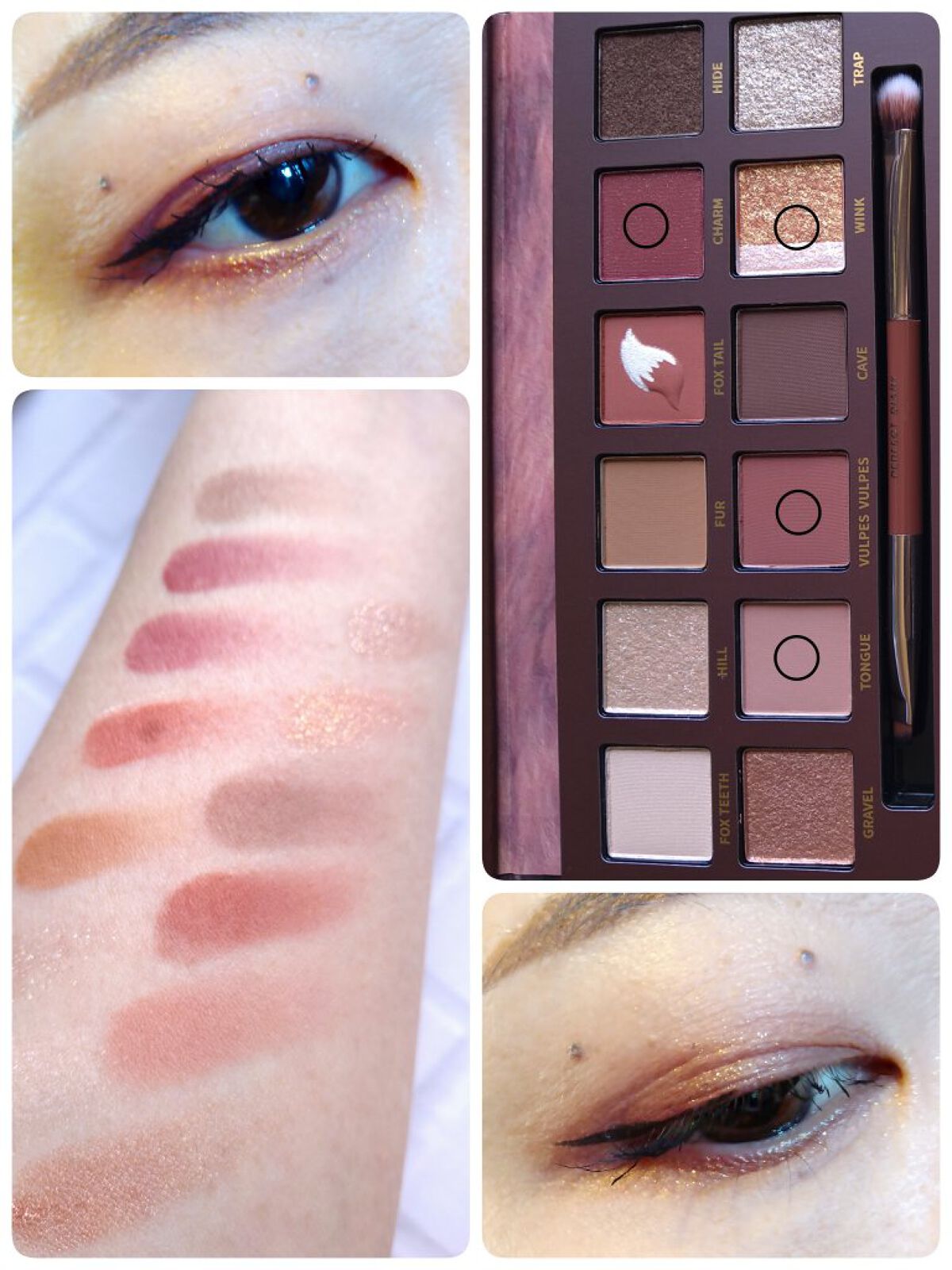 エクスプローラ12色 動物アイシャドウパレット/PERFECT DIARY/アイシャドウパレットを使ったクチコミ（3枚目）