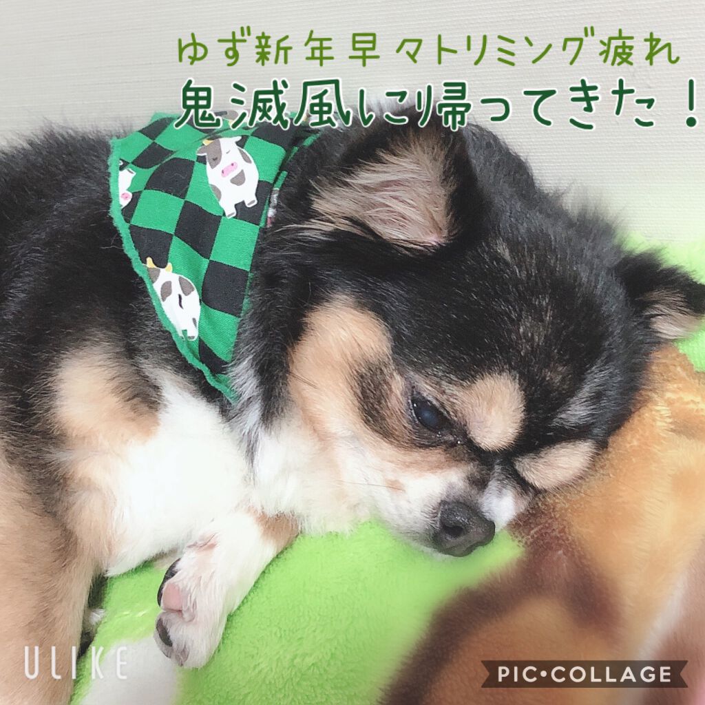 スーパーバウンシー DM シャンプー/DM ヘア トリートメント/THE PUBLIC ORGANIC/市販シャンプーを使ったクチコミ(2枚目)