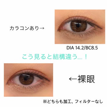 バンビシリーズ ワンデー ナチュラル Natural Brown/AngelColor/ワンデー（１DAY）カラコンを使ったクチコミ（3枚目）