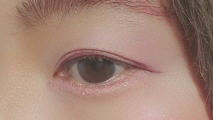 エクスプローラ12色 動物アイシャドウパレット/PERFECT DIARY/アイシャドウパレットを使ったクチコミ(3枚目)