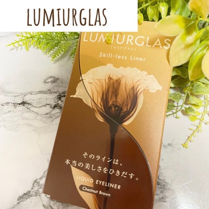 スキルレスライナー/LUMIURGLAS/リキッドアイライナーを使ったクチコミ(1枚目)