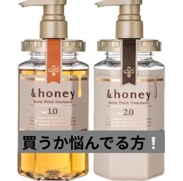 ディープモイスト シャンプー1.0／ヘアトリートメント2.0/&honey/シャンプー・コンディショナーを使ったクチコミ（1枚目）