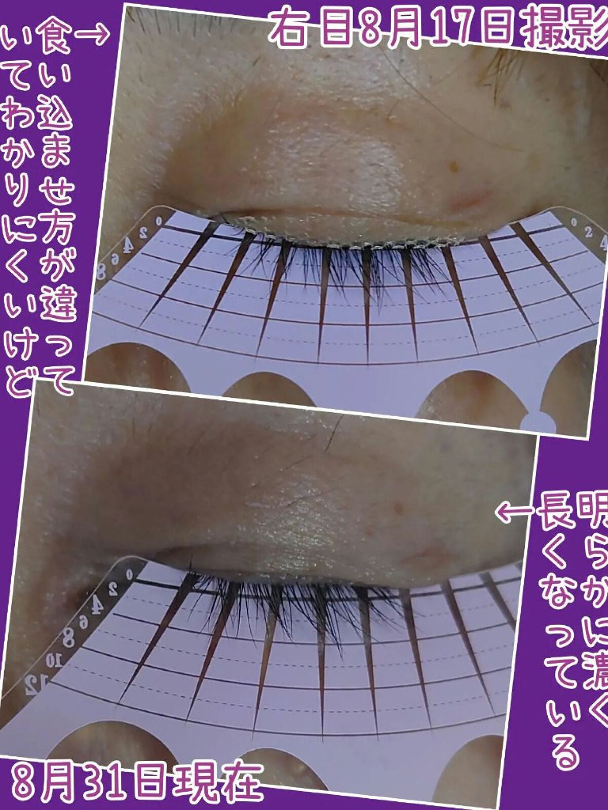 スカルプD ボーテ ピュアフリーアイラッシュセラム プレミアム/アンファー(スカルプD)/まつげ美容液を使ったクチコミ(3枚目)