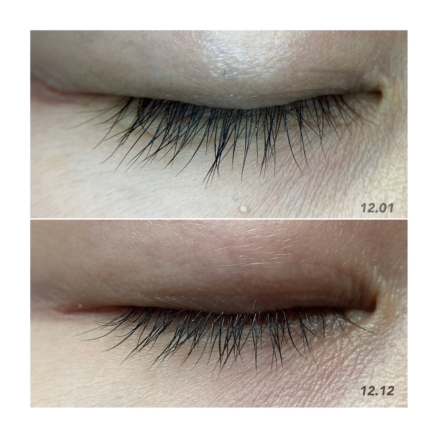 Blooming Eyelash Serum(透明)/KIERA/まつげ美容液を使ったクチコミ(6枚目)