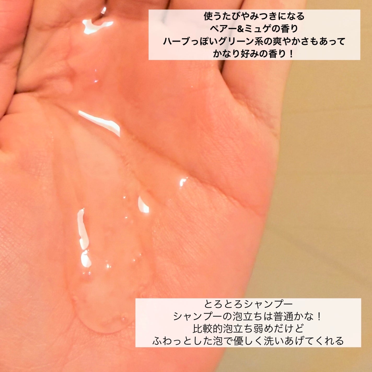 SS ããªãªã¹ ãã¥ã¢ã¬ã¿ãã ã±ããšã
ã ã·ã£ã³ããŒ/ãã¢ã³ã³ãã£ã·ã§ããŒ/SSããªãªã¹/åžè²©ã·ã£ã³ããŒã䜿ã£ãã¯ãã³ãïŒ2æç®ïŒ