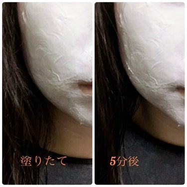 クレイパック Ibuki/OSAJI/洗い流すパック・マスクの画像
