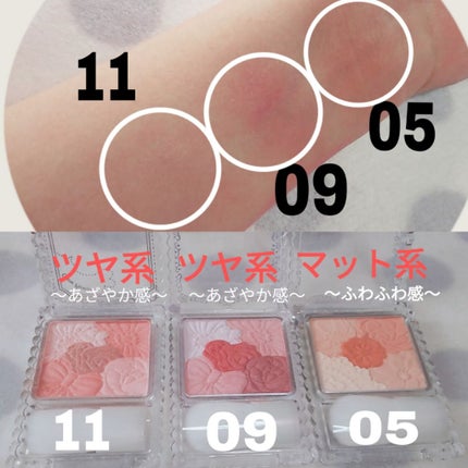 グロウフルールチークス/キャンメイク/パウダーチークを使ったクチコミ(2枚目)