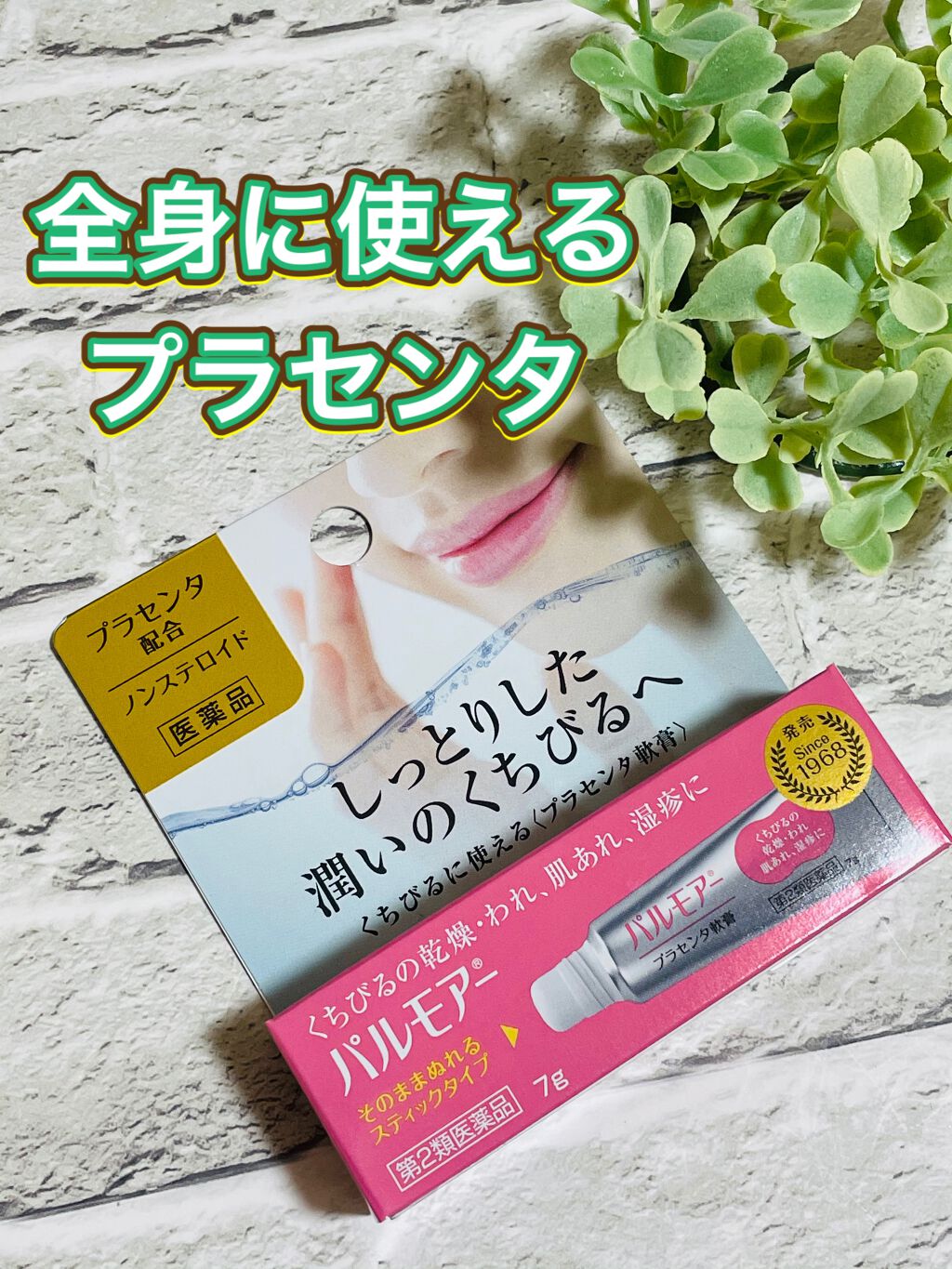 パルモアー(医薬品)/三宝製薬/その他を使ったクチコミ（1枚目）