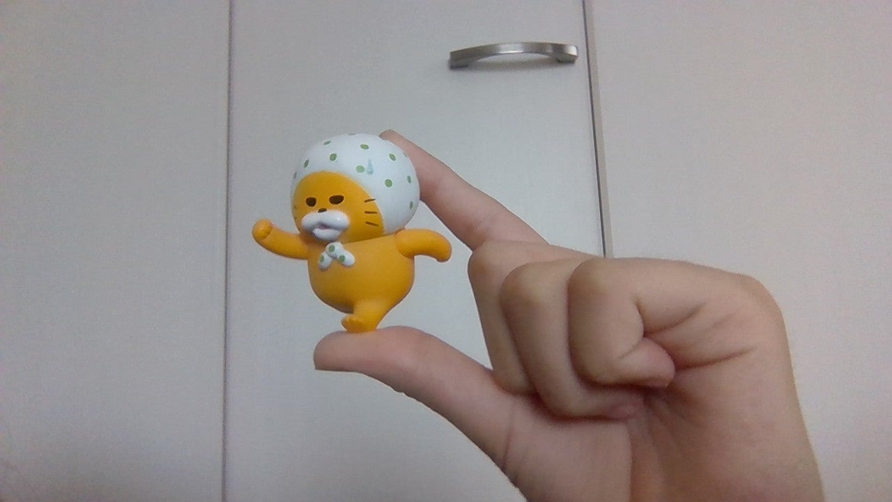 エビフライの衣 on LIPS 「いやーあちーな〜🎐wえー今日は部屋の物を紹介します!まあぬいぐ..」(5枚目)