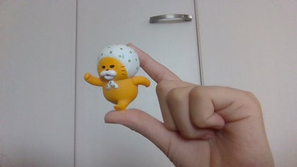 エビフライの衣 on LIPS 「いやーあちーな〜🎐wえー今日は部屋の物を紹介します!まあぬいぐ..」(5枚目)