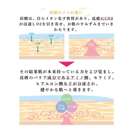 CO2 Gel Pack Pro 3P/10P/BELA VELA/シートマスク・パックを使ったクチコミ(5枚目)