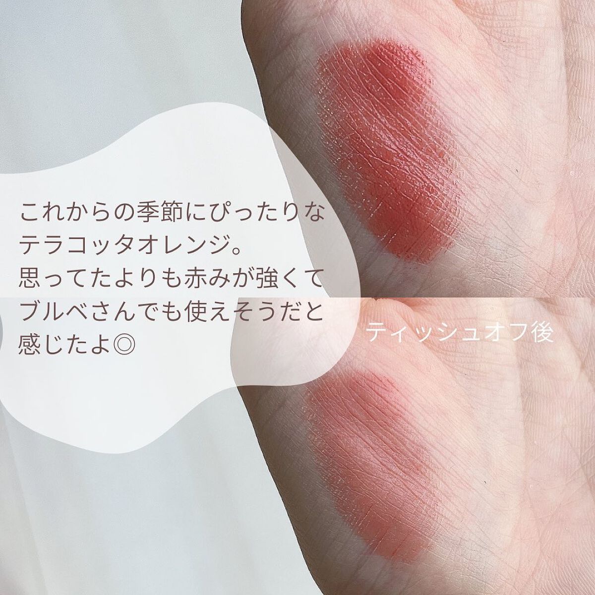 ネンマクフェイク ルージュ/Visée/口紅を使ったクチコミ（3枚目）