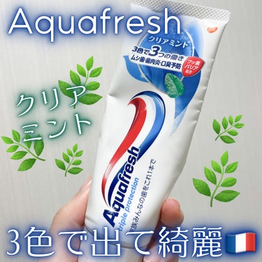 アクアフレッシュ アクアフレッシュのクチコミ「🫧これしか勝たん歯磨き🫧
Aquafresh
クリアミント

〜…〜…〜…〜…〜

パケの情報.....」（1枚目）