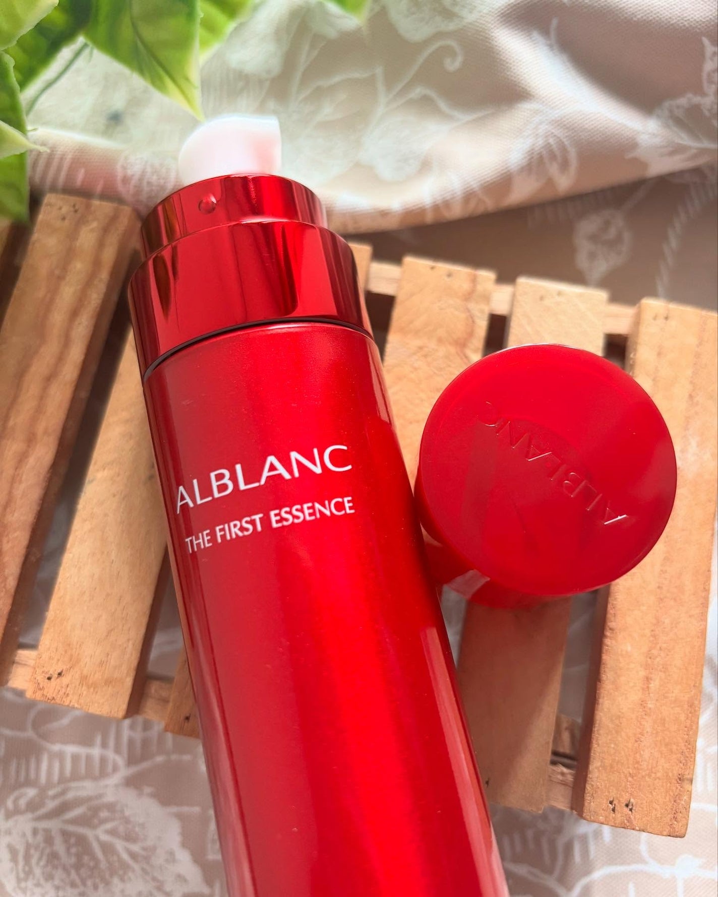 cherry on LIPS ãðððã¢ã«ãã©ã³æ§ããããã ããŸãããð§¡ð§¡ã¢ã«ãã©ã³ãã¶ããã¡..ãïŒ4æç®ïŒ