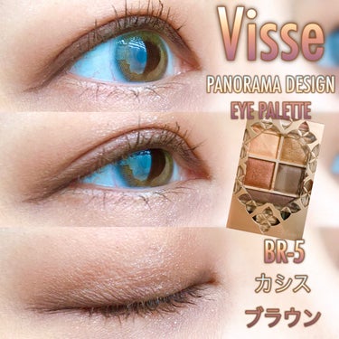 パノラマデザイン アイパレット BR-5 カシスブラウン/Visée/アイシャドウパレットを使ったクチコミ（1枚目）