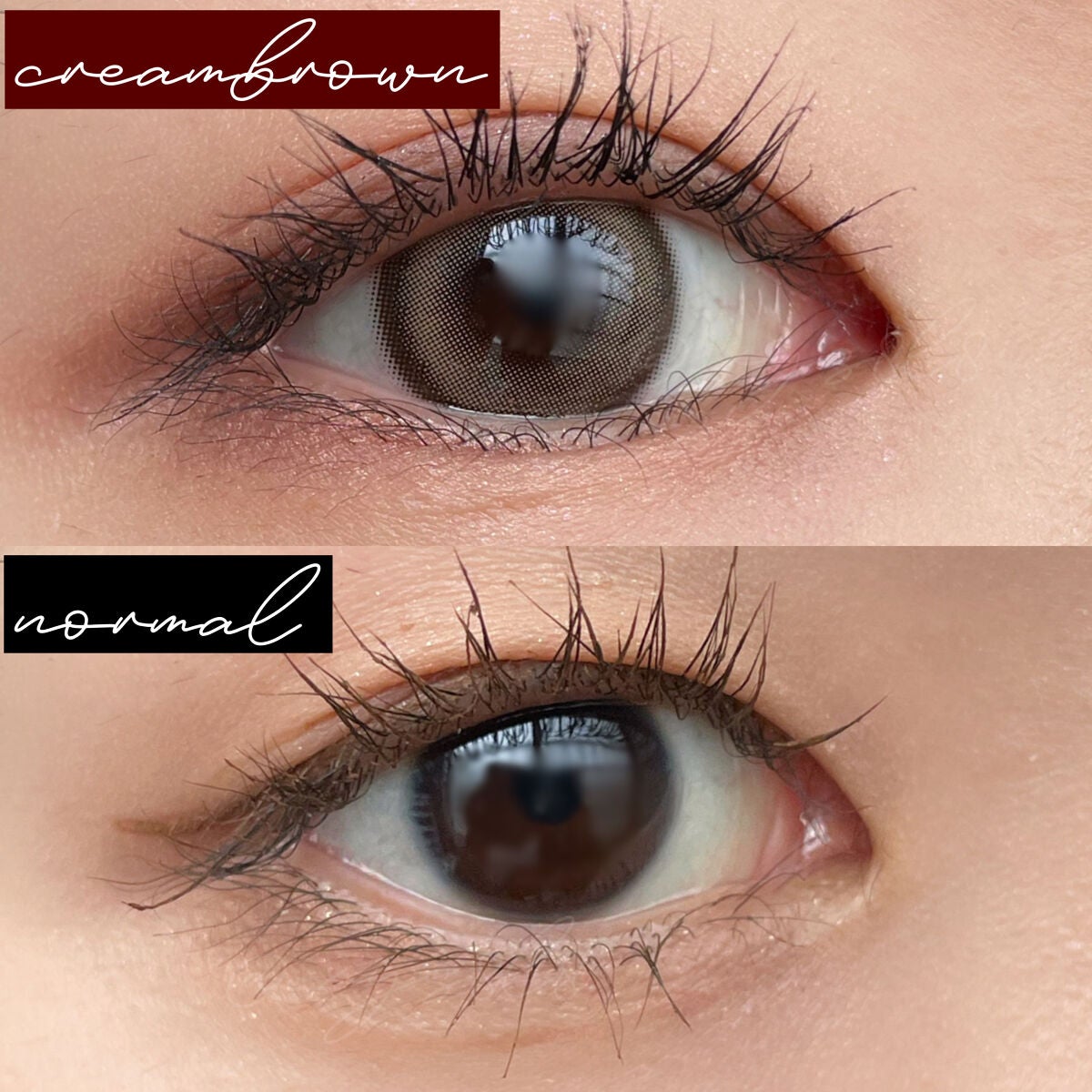 chuuLENS Milk&Tea 1day/chuu LENS/ワンデー(1DAY)カラコンを使ったクチコミ(4枚目)