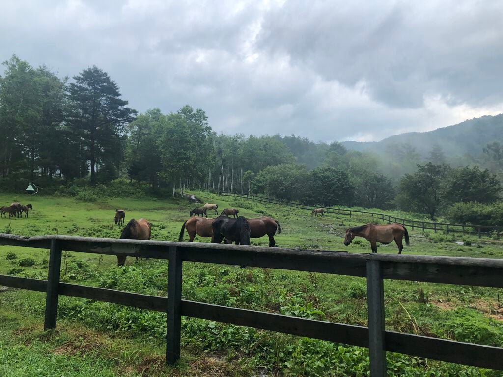 トーンアップアイシャドウ/CEZANNE/アイシャドウパレットを使ったクチコミ(2枚目)