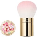 GUERLAINメテオリット ブラシ