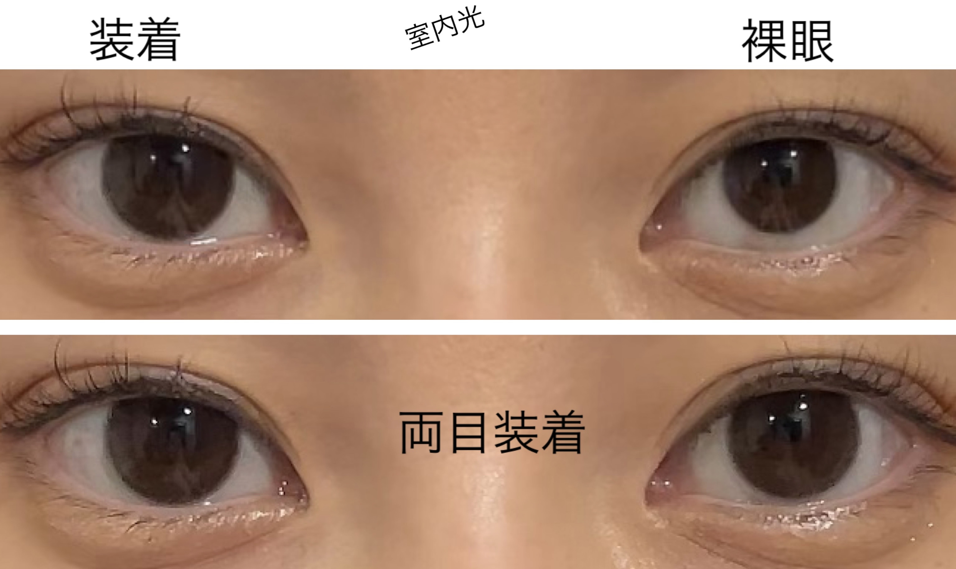 バンビシリーズ ワンデー ナチュラル Pure Brown/AngelColor/ワンデー（１DAY）カラコンを使ったクチコミ（3枚目）