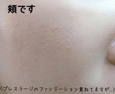 試してみた】プレステージ ホワイト ル プロテクター UV ...
