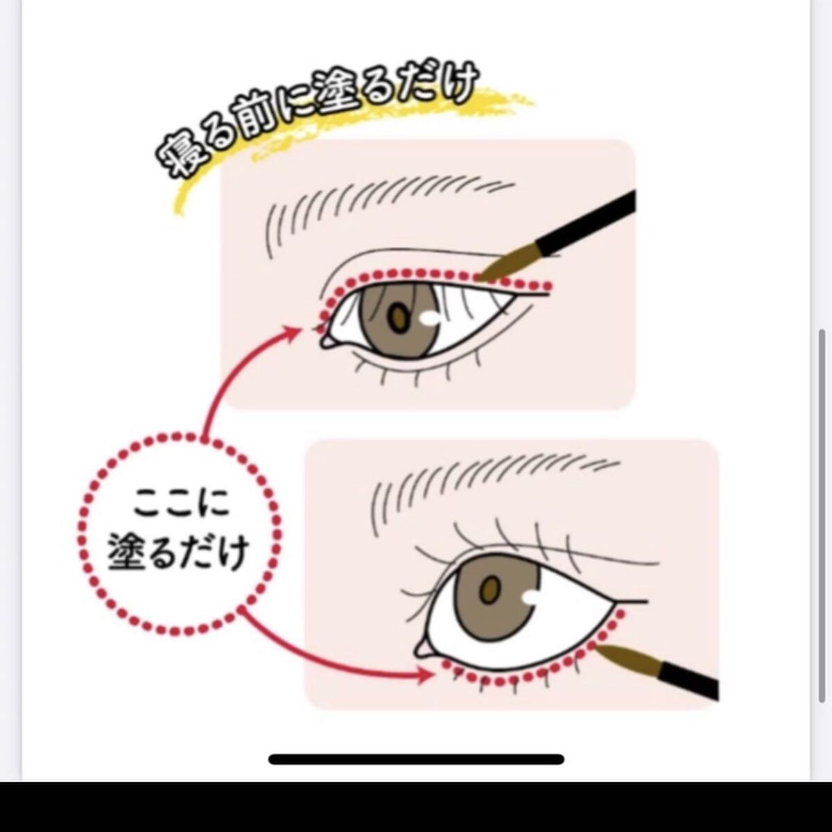 ちゃんぶぅ 投稿ある方フォロバ💕ちょっと遅くなるけど on LIPS 「日本で一番売れている睫毛美容液が進化したまつ毛美容液WIDEL..」(6枚目)