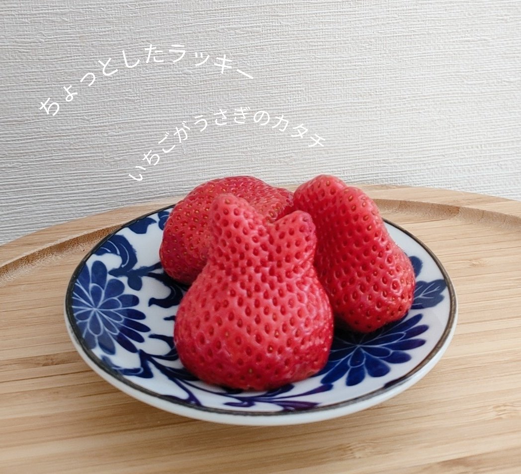 メロウシャンプー/メロウトリートメント/plus eau/市販シャンプーを使ったクチコミ（2枚目）