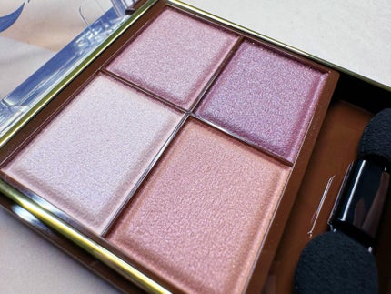 スキニーリッチシャドウ/excel/アイシャドウパレットを使ったクチコミ(3枚目)