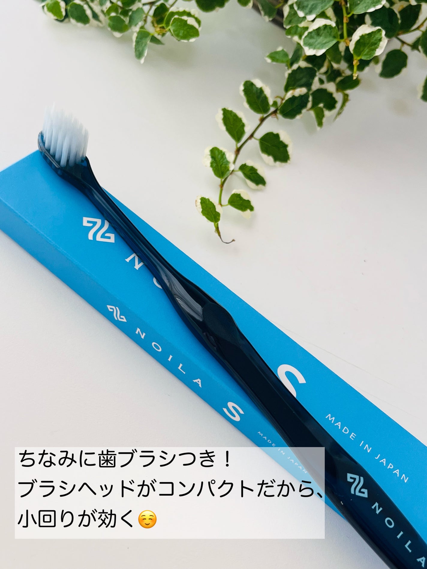 NOILA S Thoothpaste/NOILA/歯磨き粉を使ったクチコミ(4枚目)