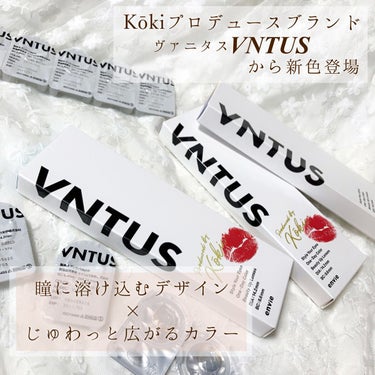 VNTUS 1day/VNTUS/ワンデー（１DAY）カラコンを使ったクチコミ（2枚目）