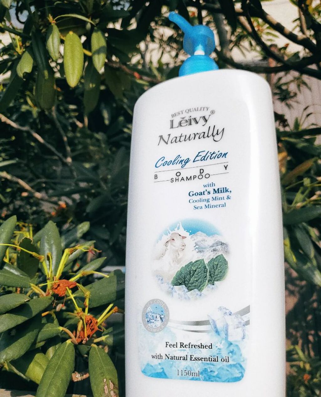 レイヴィー　クールボディシャンプー/Leivy/ボディソープを使ったクチコミ（1枚目）