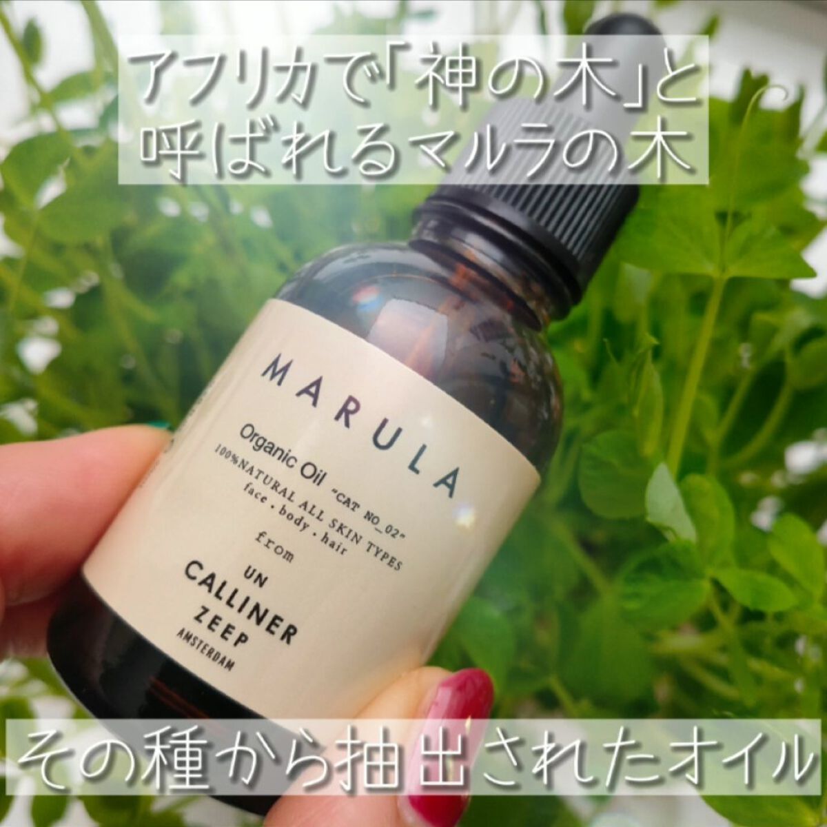 UC MARULA OIL/UN CALINNER ZEEP/フェイスオイルを使ったクチコミ（1枚目）
