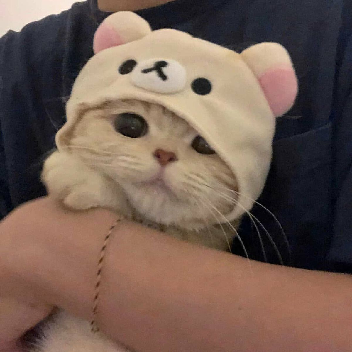 ジューシーラスティングティント/rom&nd/リップティントを使ったクチコミ（1枚目）