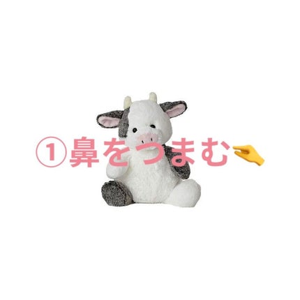 mio on LIPS 「2週間で鼻を高く、小さくする方法👼(個人差があります🤧)⚠️⚠..」(3枚目)