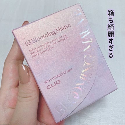プロ アイパレット ミニ/CLIO/アイシャドウパレットを使ったクチコミ(9枚目)