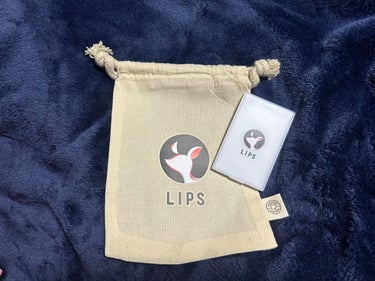 コスメデビューセット LIPSフェスタ Winter 2023/LIPS/メイクアップキットを使ったクチコミ（2枚目）