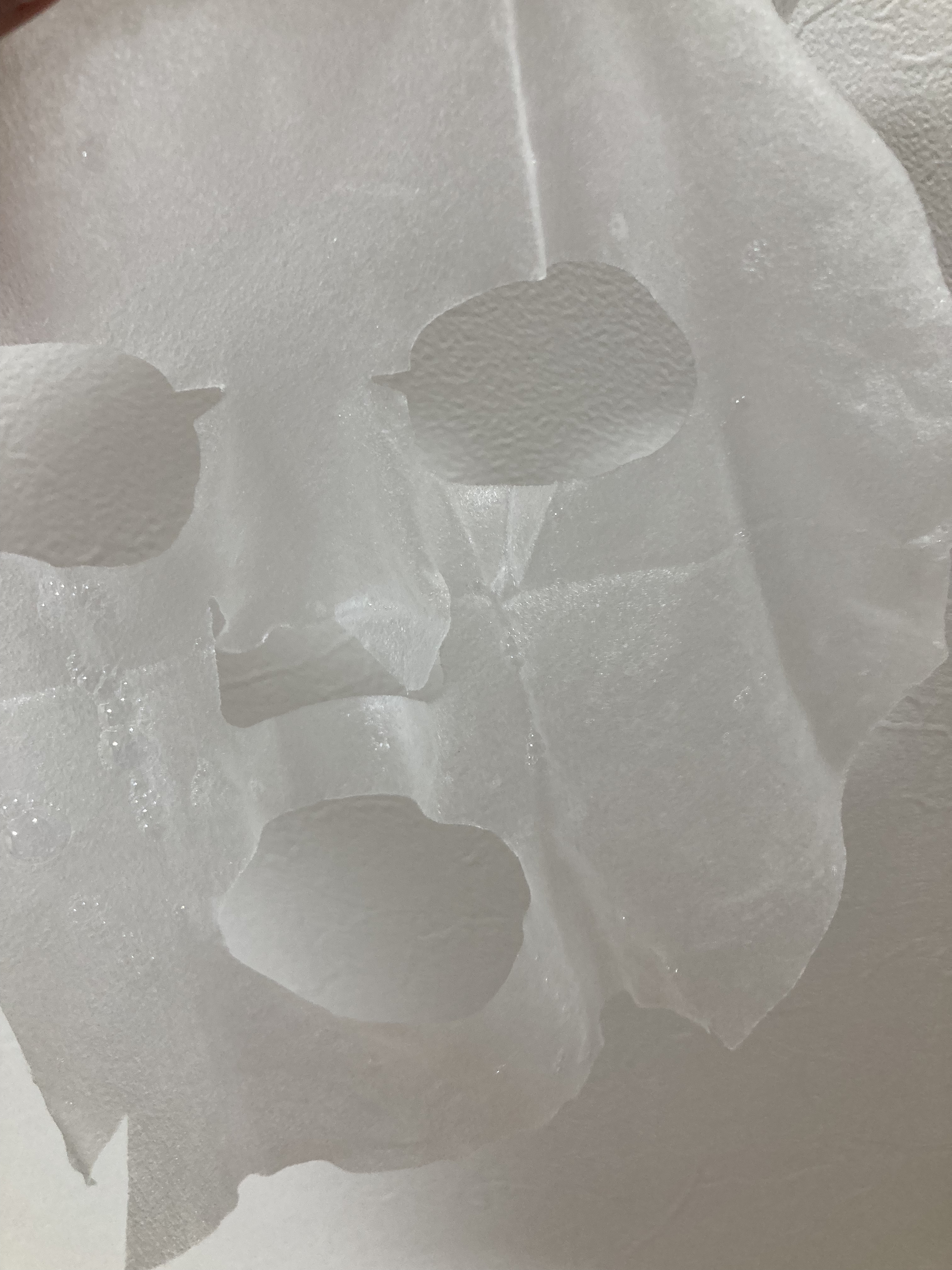 シカバイタル マスク/VT/シートマスク・パックを使ったクチコミ（2枚目）