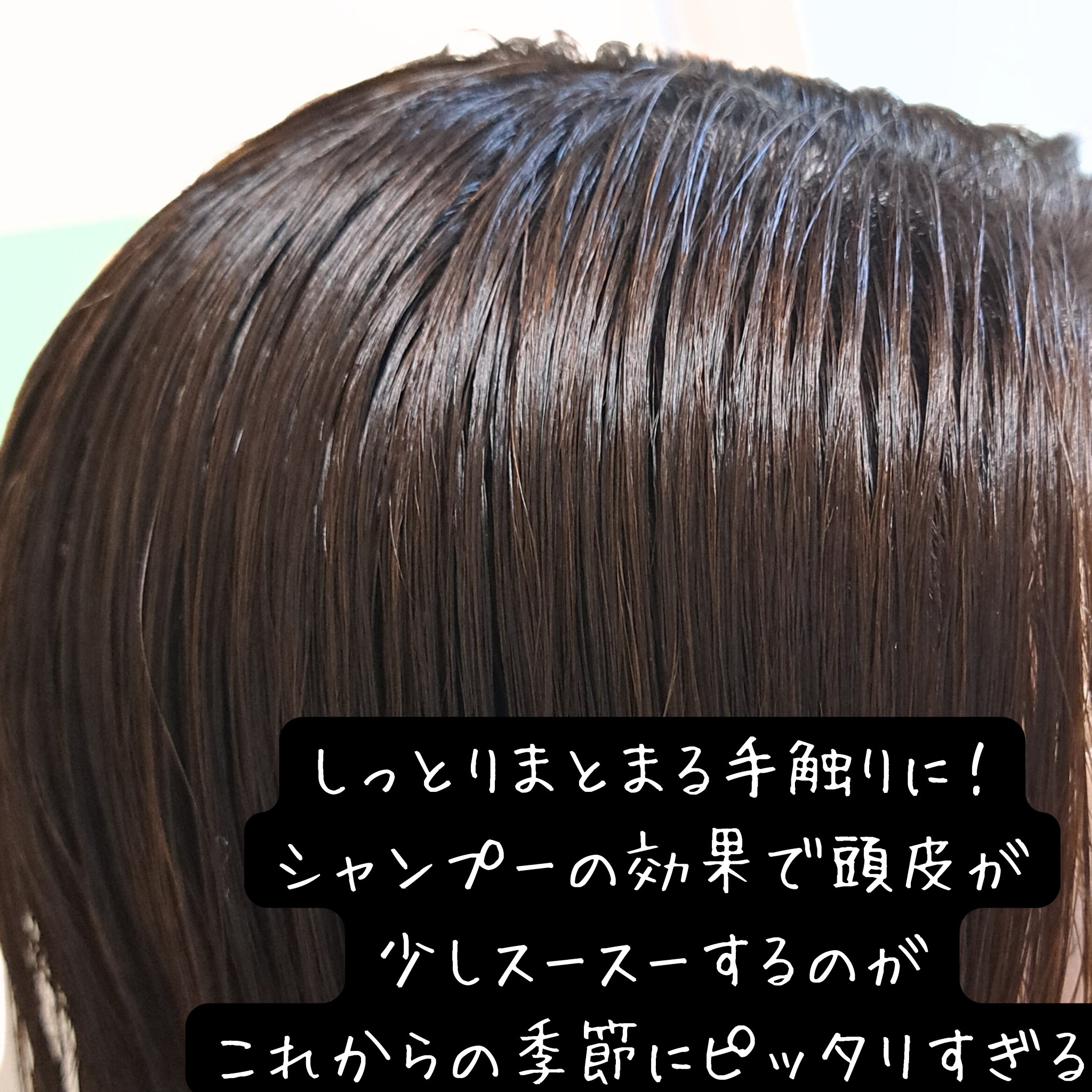 エナジーパフォーマンス スカルプシャンプー / ヘアトリートメント/MuCent/市販シャンプーを使ったクチコミ（3枚目）