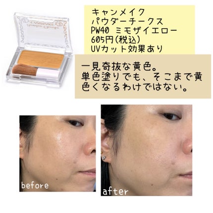 試してみた】【旧品】パウダーチークス キャンメイクのリアルな 試してみた】【旧品】パウダーチークス キャンメイクのリアルな