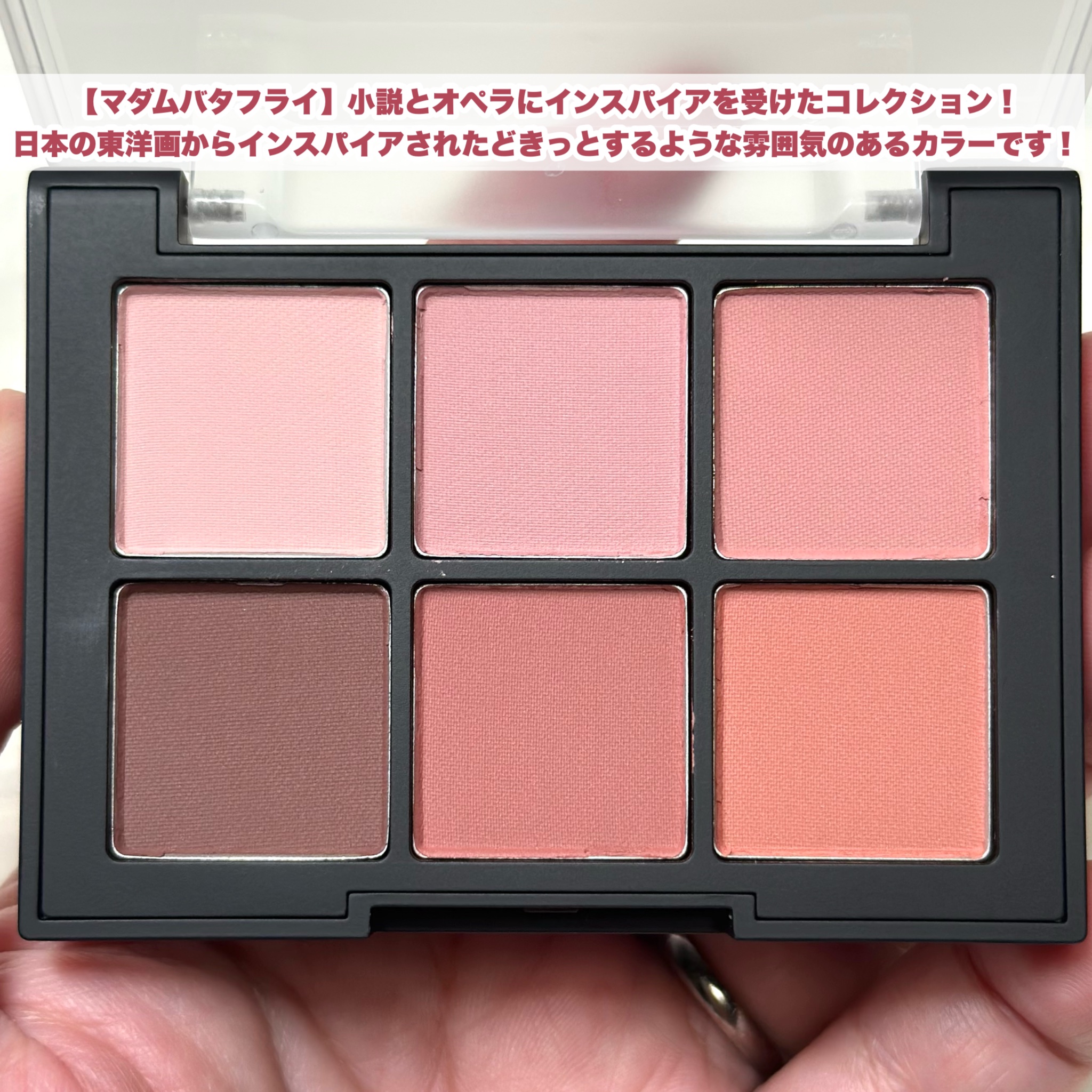 ブラーフィニシュシャドウパレット/Dinto/アイシャドウパレットを使ったクチコミ（3枚目）