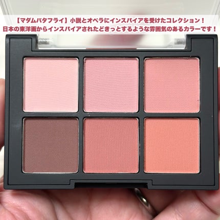 ブラーフィニシュシャドウパレット/Dinto/アイシャドウパレットを使ったクチコミ(3枚目)