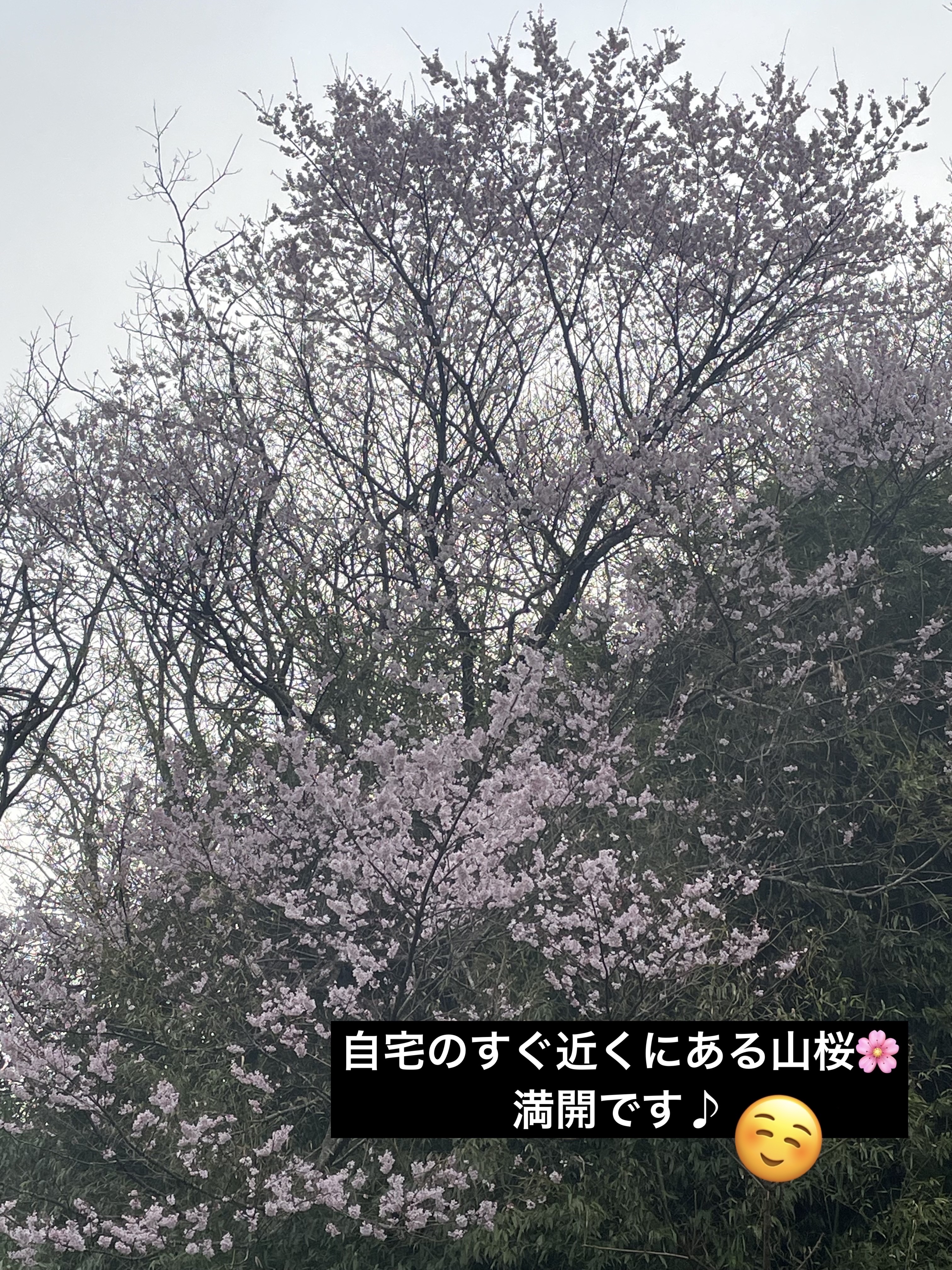 4色アイシャドウパレット/aZTK/アイシャドウパレットを使ったクチコミ（3枚目）