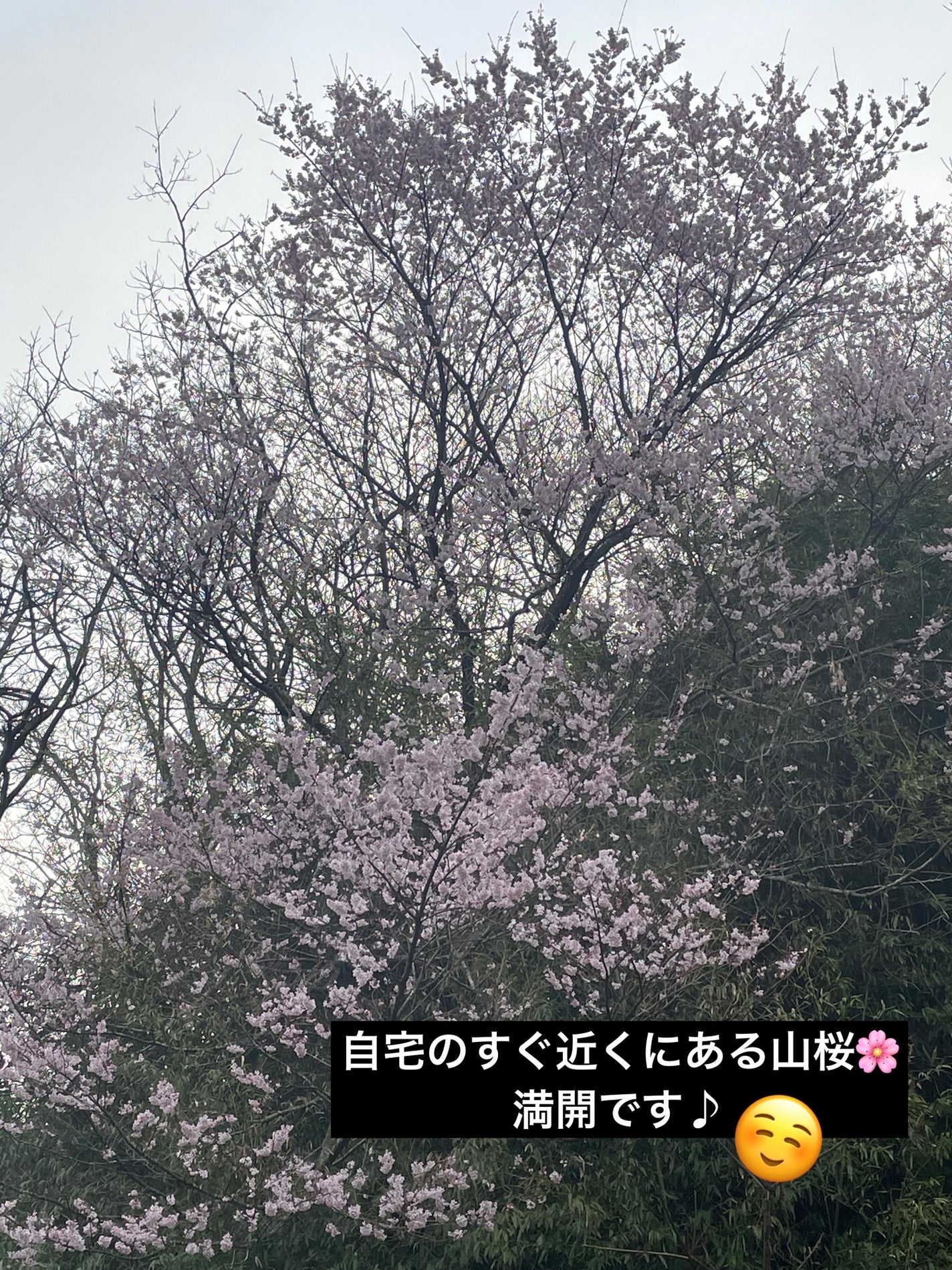 4色アイシャドウパレット/aZTK/アイシャドウパレットを使ったクチコミ(3枚目)