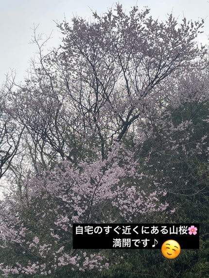 4色アイシャドウパレット/aZTK/アイシャドウパレットを使ったクチコミ(3枚目)